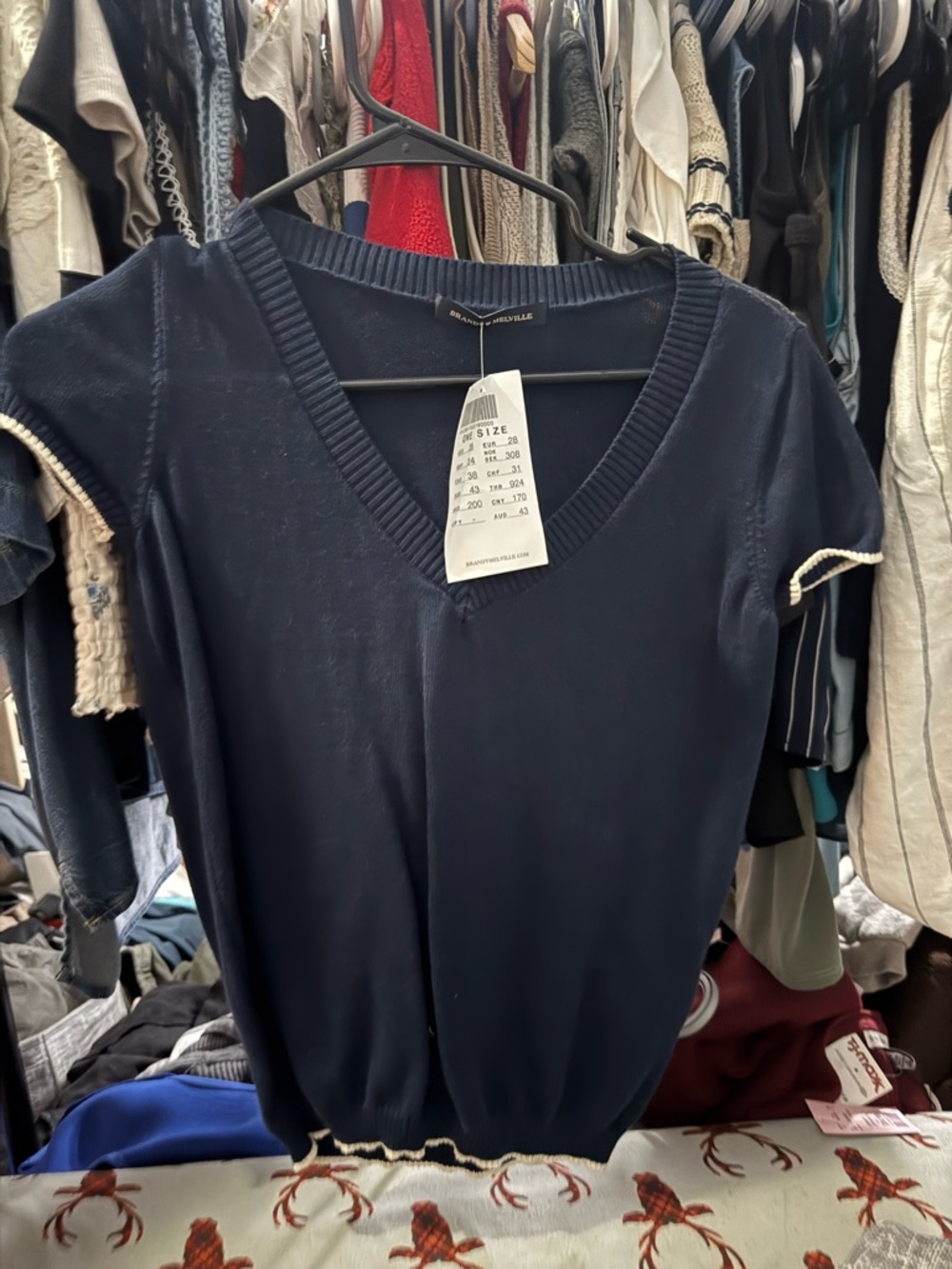 Brandy Melville top